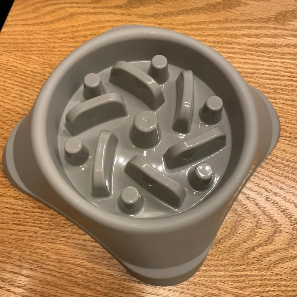 Maze slow eater dog bowl